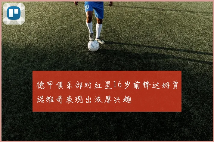 德甲俱乐部对红星16岁前锋达姆贾诺维奇表现出浓厚兴趣