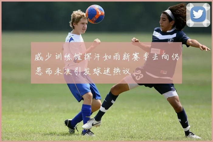 威少训练馆挥汗如雨新赛季去向仍悬而未决引发球迷热议