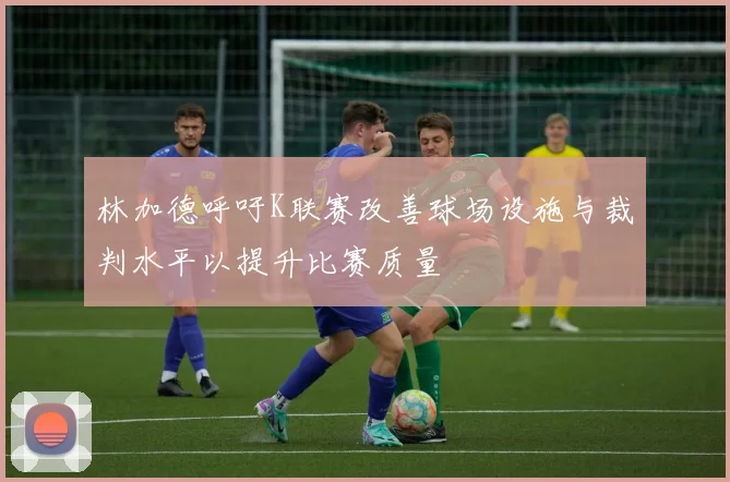 林加德呼吁K联赛改善球场设施与裁判水平以提升比赛质量