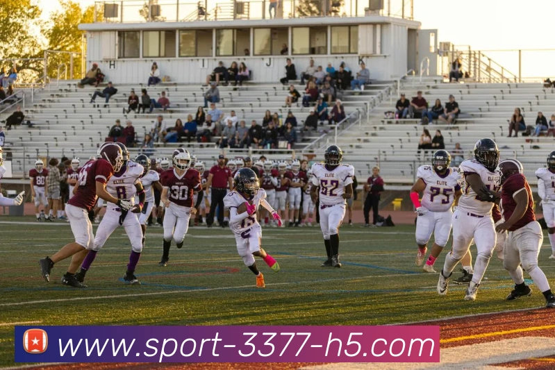 多媒体互动体验